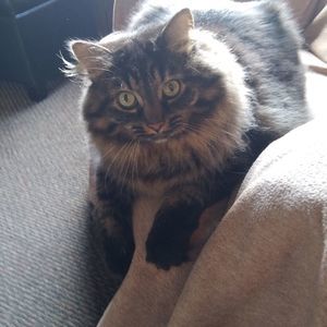 Meet your Posher, Christina